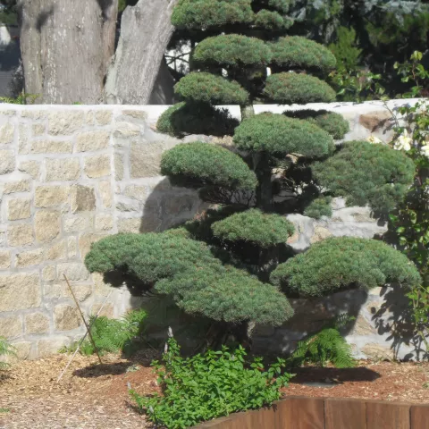 Création 3