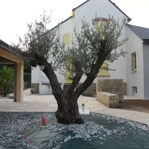 Création 12
