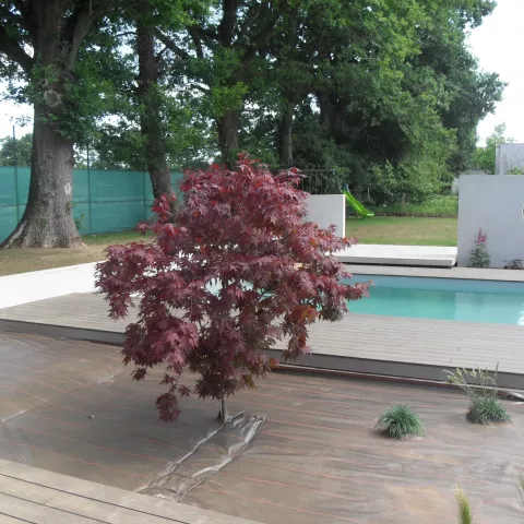 Piscine 7